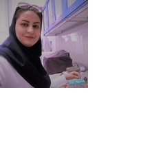 Professor Shima Hashemi