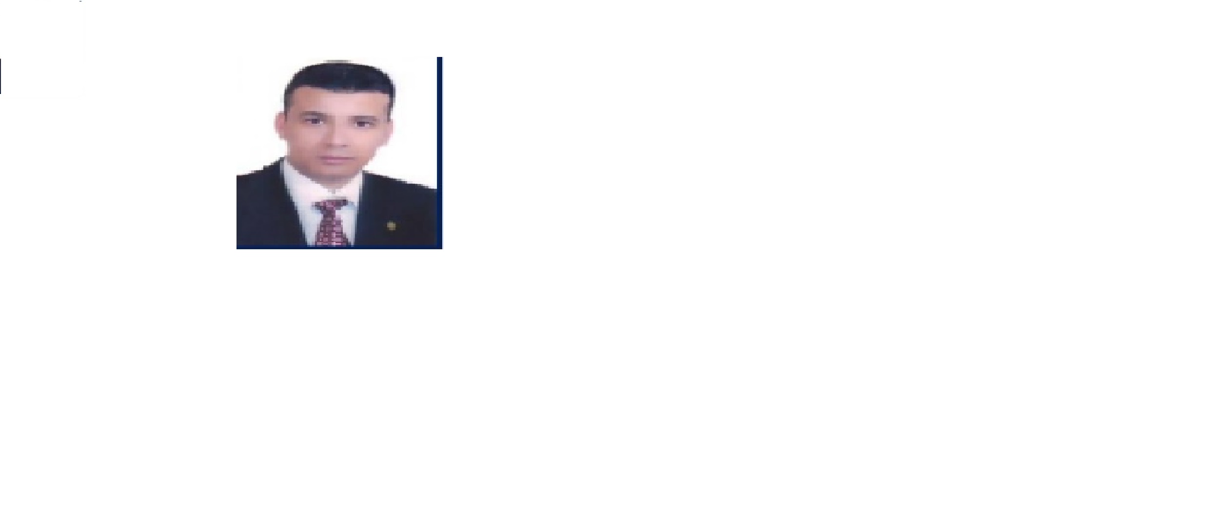 Mohamed Farouk Attya Ahmed
